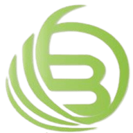 B500 Concepts Logo